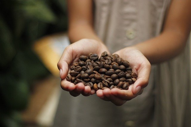 コーヒー豆のサブスクが人気上昇中！その理由は？